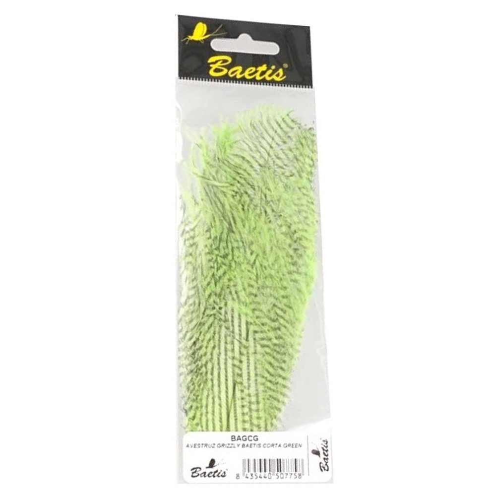 AVESTRUZ GRIZZLY BAETIS LARGA GREEN