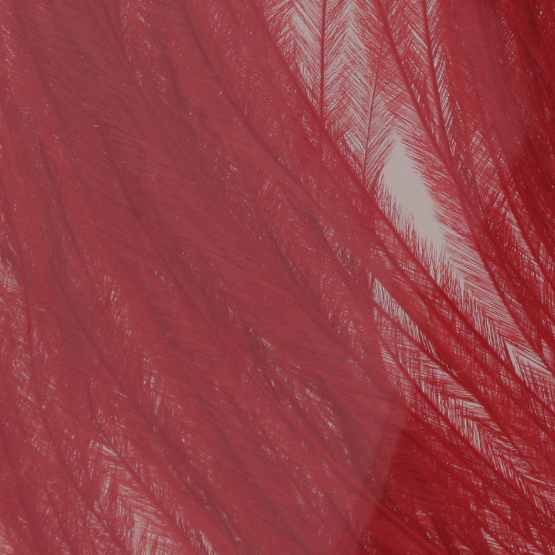 AVESTRUZ (Ostrich Herl) 056 Red