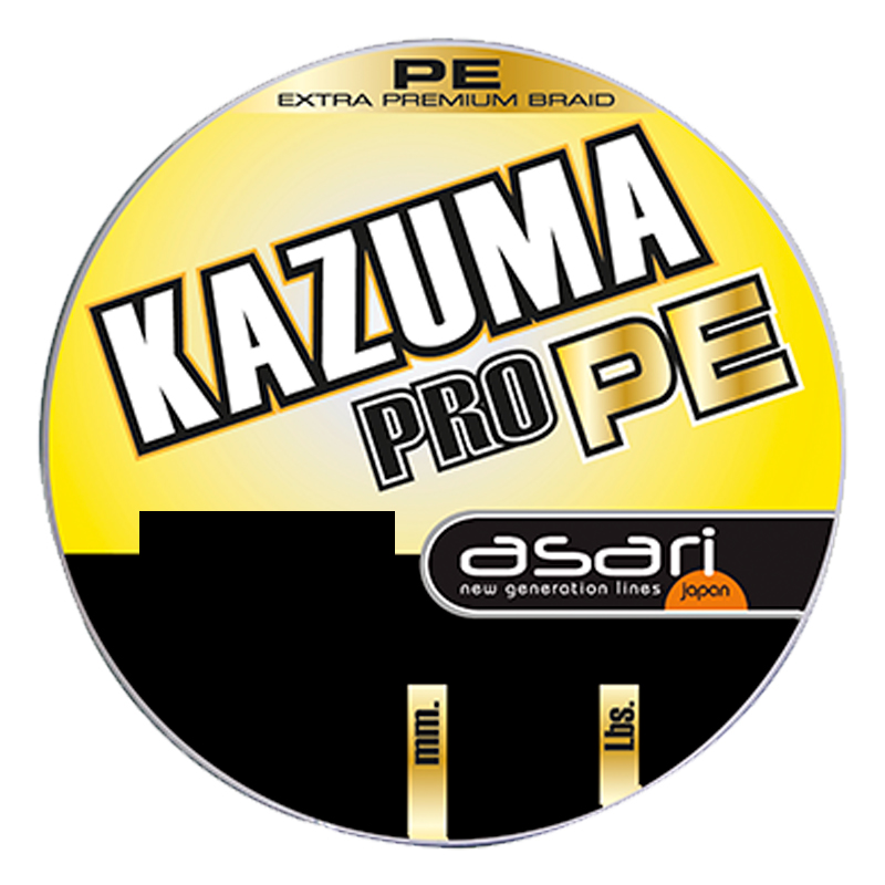 B/100m ASARI KAZUMA PRO PE 0,25mm