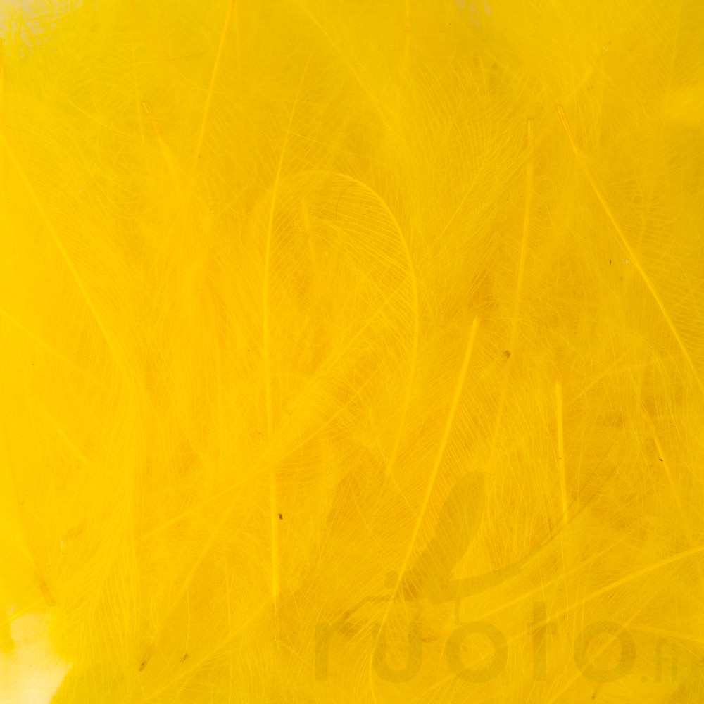 CDC PETITJEAN-1 gr. Nº 10 LIGHT YELLOW