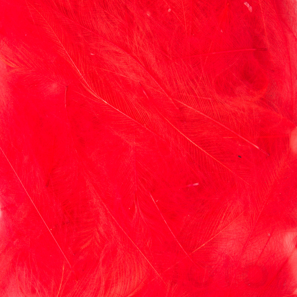 CDC PETITJEAN-1 gr. Nº 11 RED FLUO