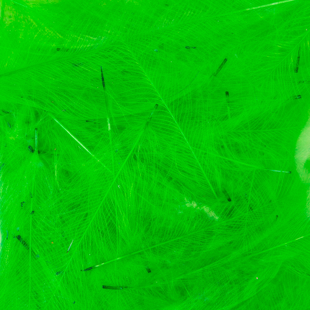 CDC PETITJEAN-1 gr. Nº 12 FLUO VERT