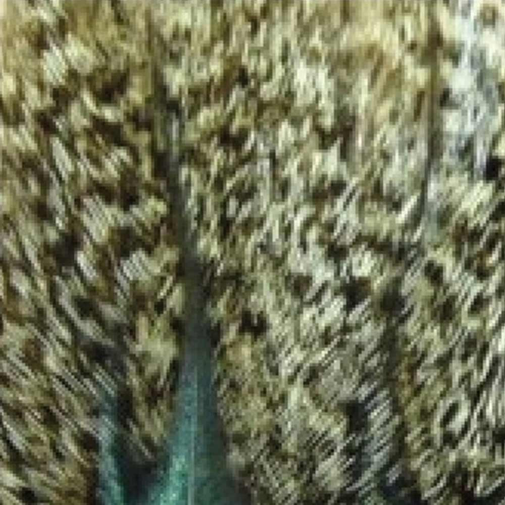 COLGADERA PLUMA DE LEON PARDO ACONCHADO