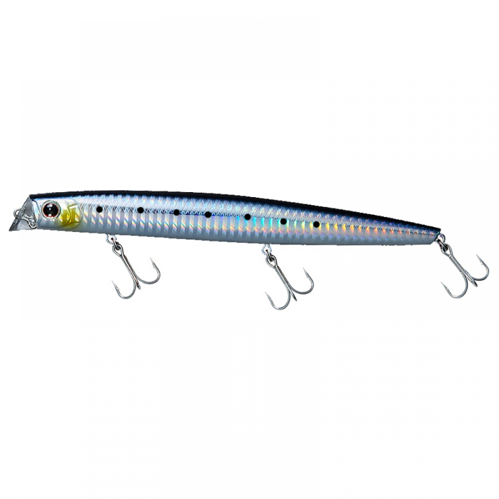 Daiwa Morethan Shallow Upper Slim 160f ssr laser sardine