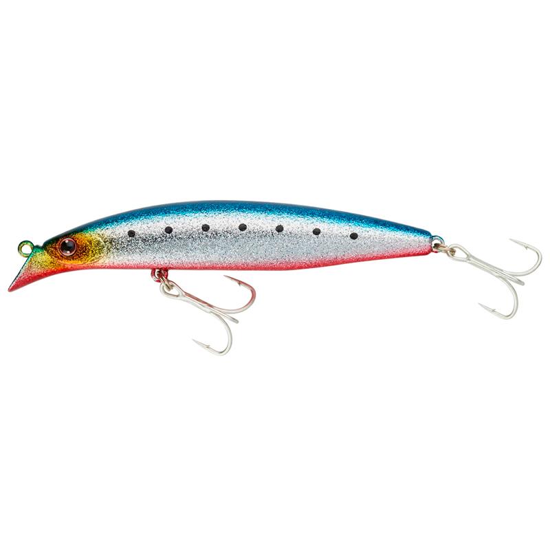 Daiwa Shoreline Shiner Z Vertice 97F SG Maigashi RB