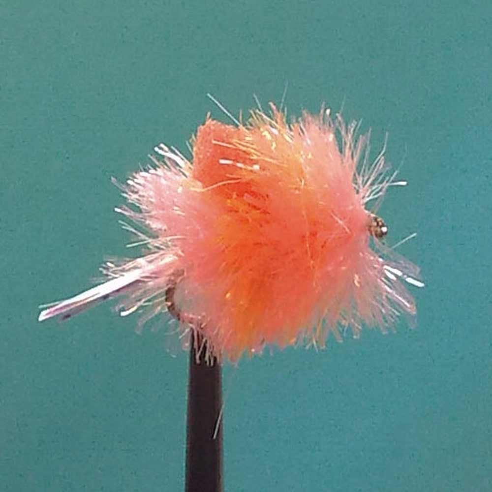 DRAGON CORAL& ORANGE HEMEROID