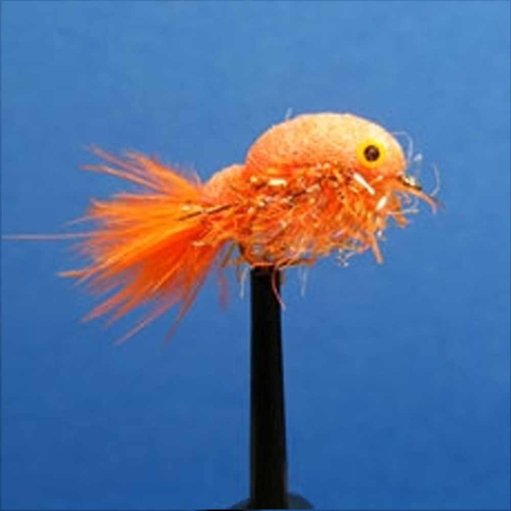 DRAGON ORANGE SYNERGY FOAMBACK