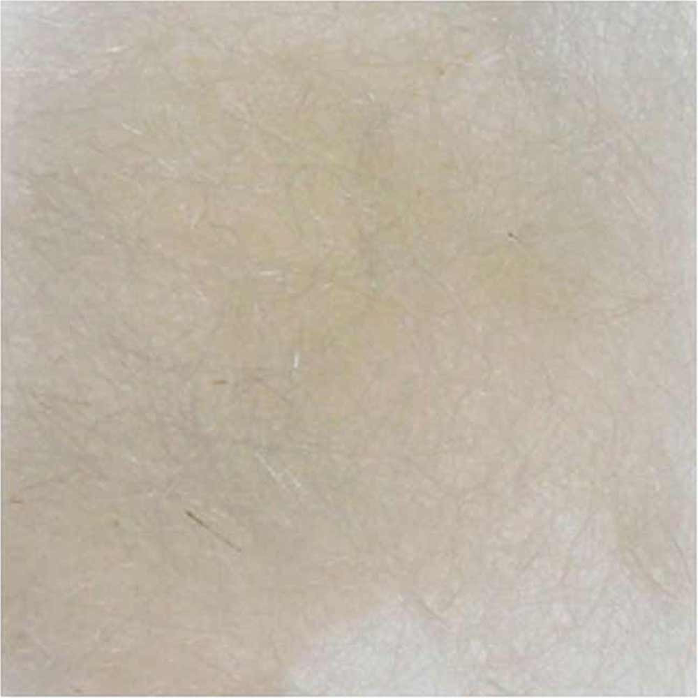 DUBING SUSTITUTO DE FOCA 002 Cream