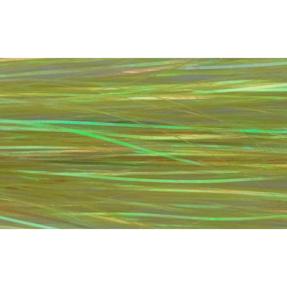 FLASHABOU BAETIS COLOR 51