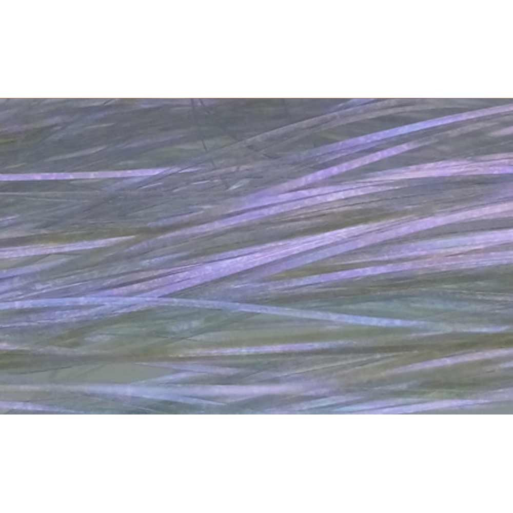 FLASHABOU BAETIS COLOR 66