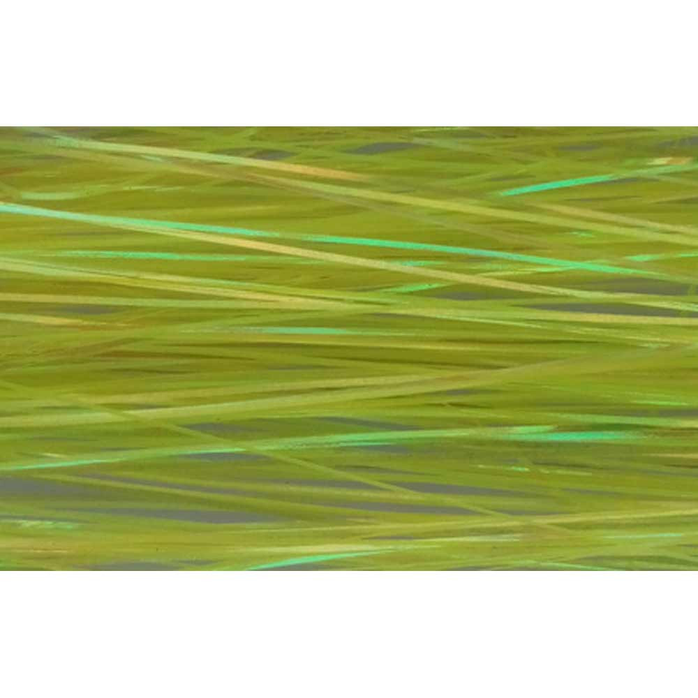 FLASHABOU BAETIS COLOR E