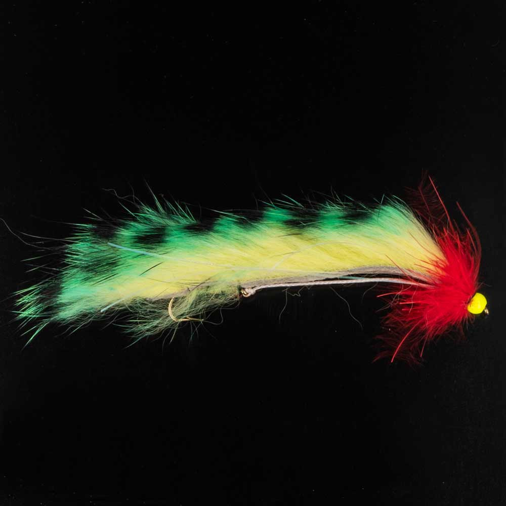 HEAVY HOTHEAD SNAKE BAETIS TIGER 2 ud