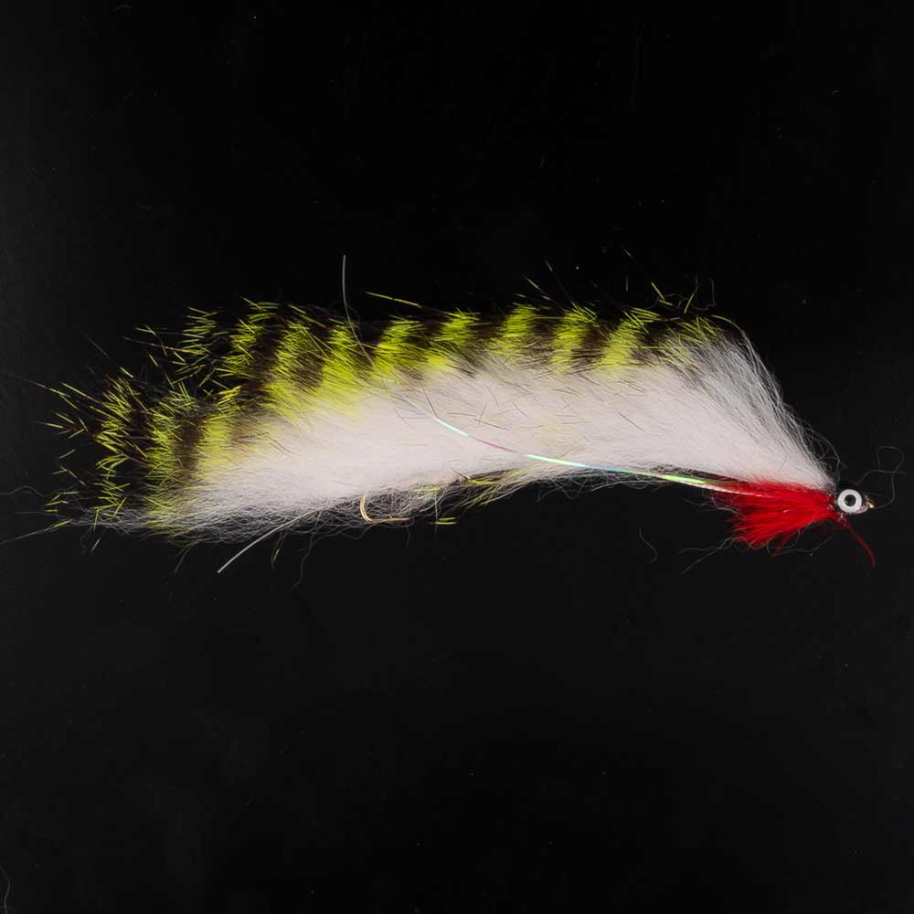 INTERMEDIATE SNAKE BAETIS CATS WHISKER 2 ud