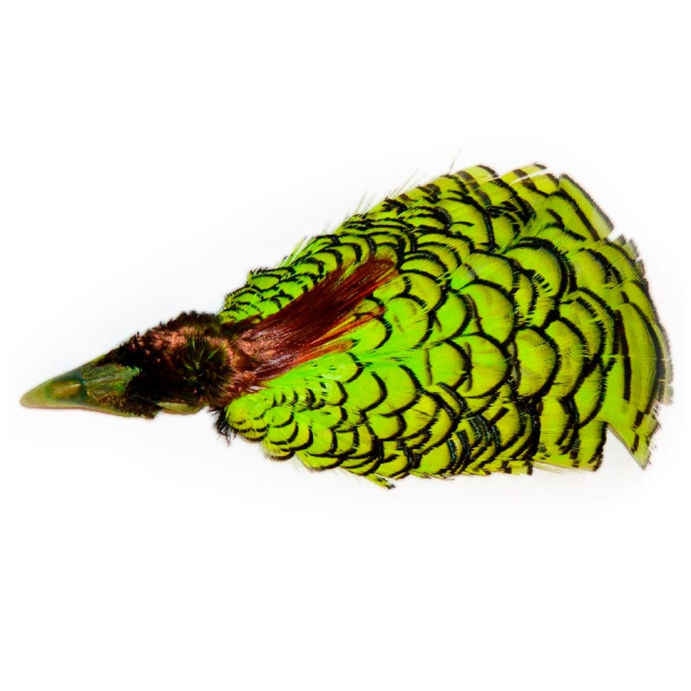 LADY AMHERST 199 Natural
