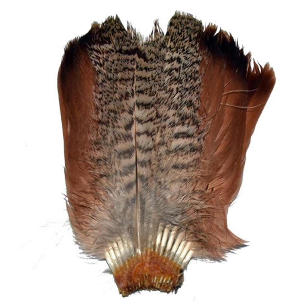 M. COLA PERDIZ PARDILLA