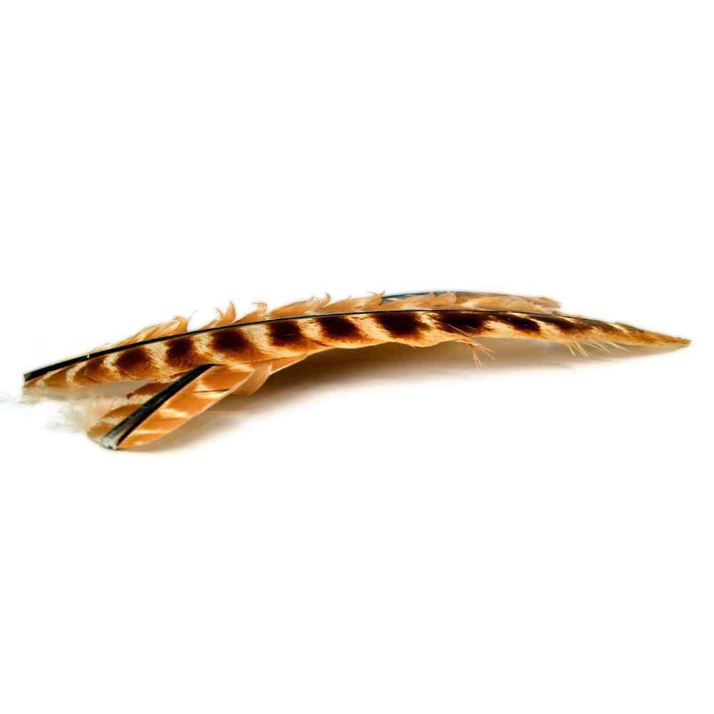 M. OZARK TURKEY QUILL 100