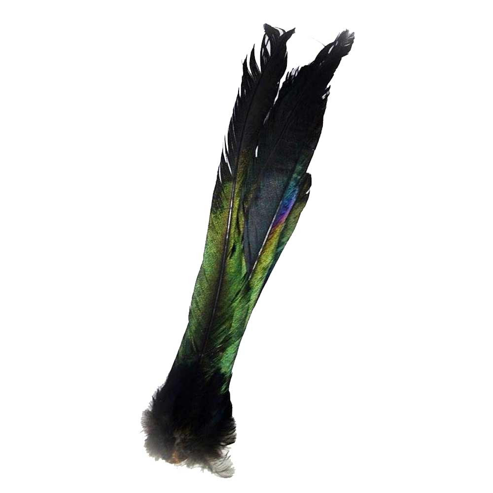M. PAJARO PICA-PICA COLA