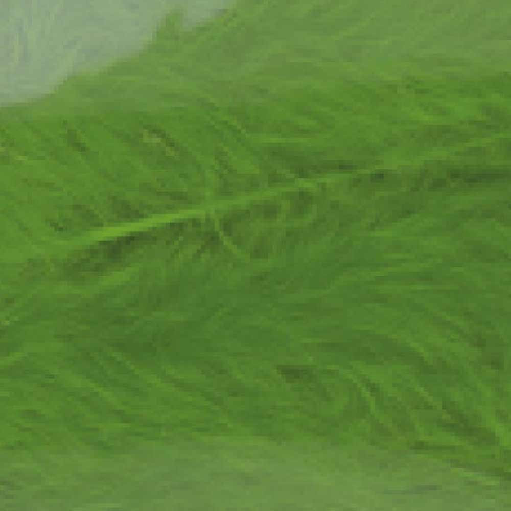 MARABOU LARGO 062 (Kelly Green)