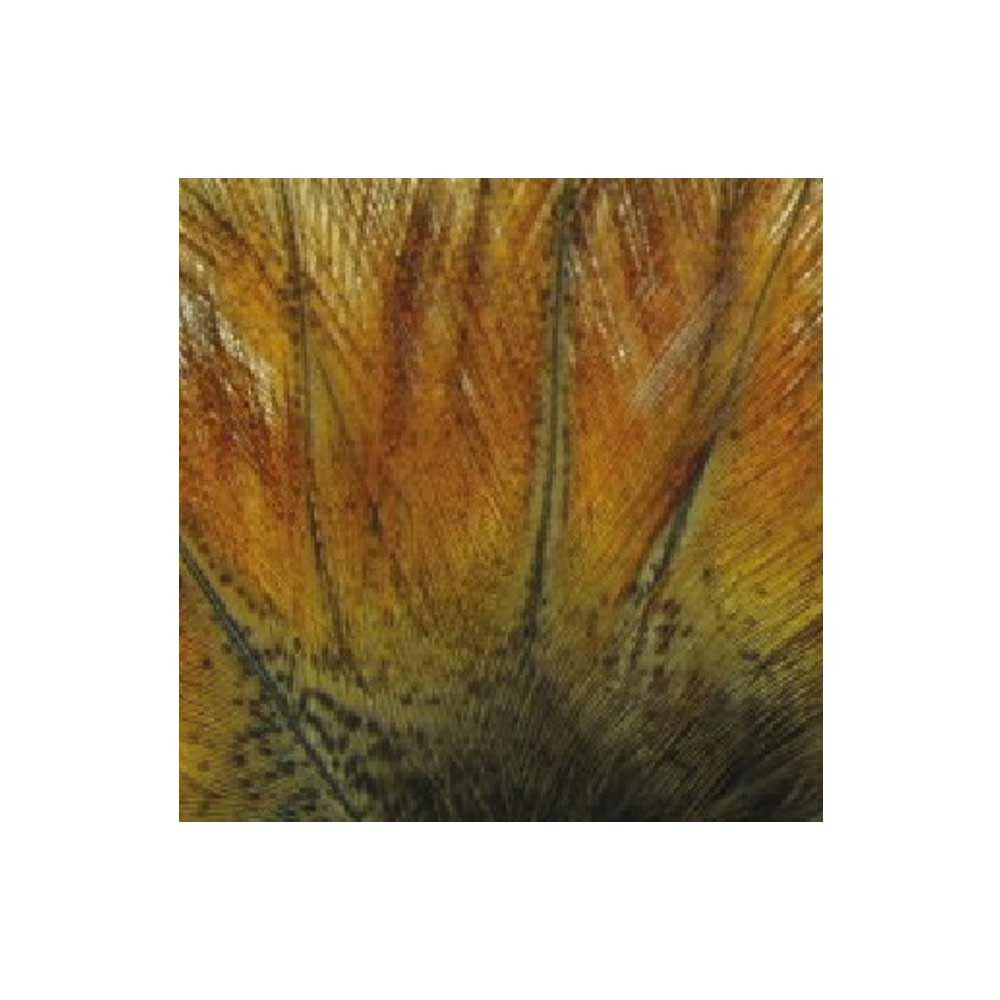 MAZO PLUMA DE LEON G. EXTRA PARDO ENCENDIDO