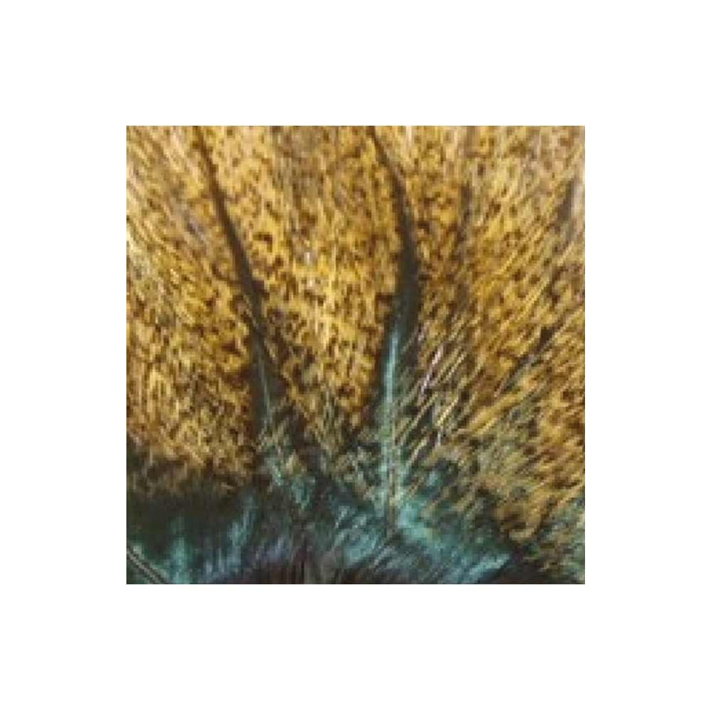 MAZO PLUMA DE LEON G. EXTRA PARDO FLOR ESCOBA