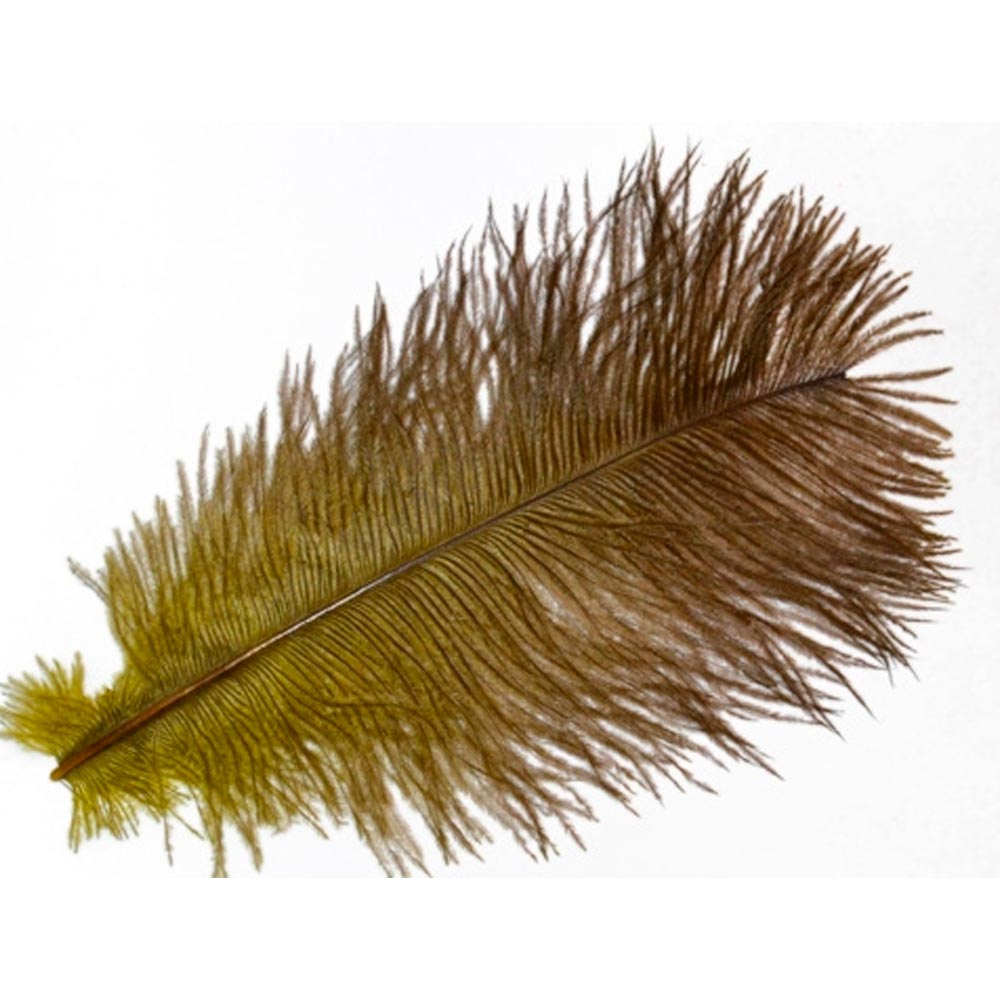 MINI AVESTRUZ (Ostrich Mini) 047 Brown