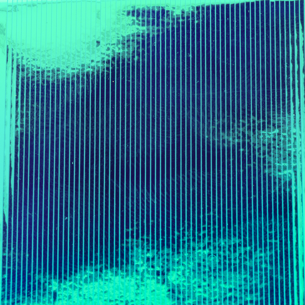 Mutation film Baetis color 02