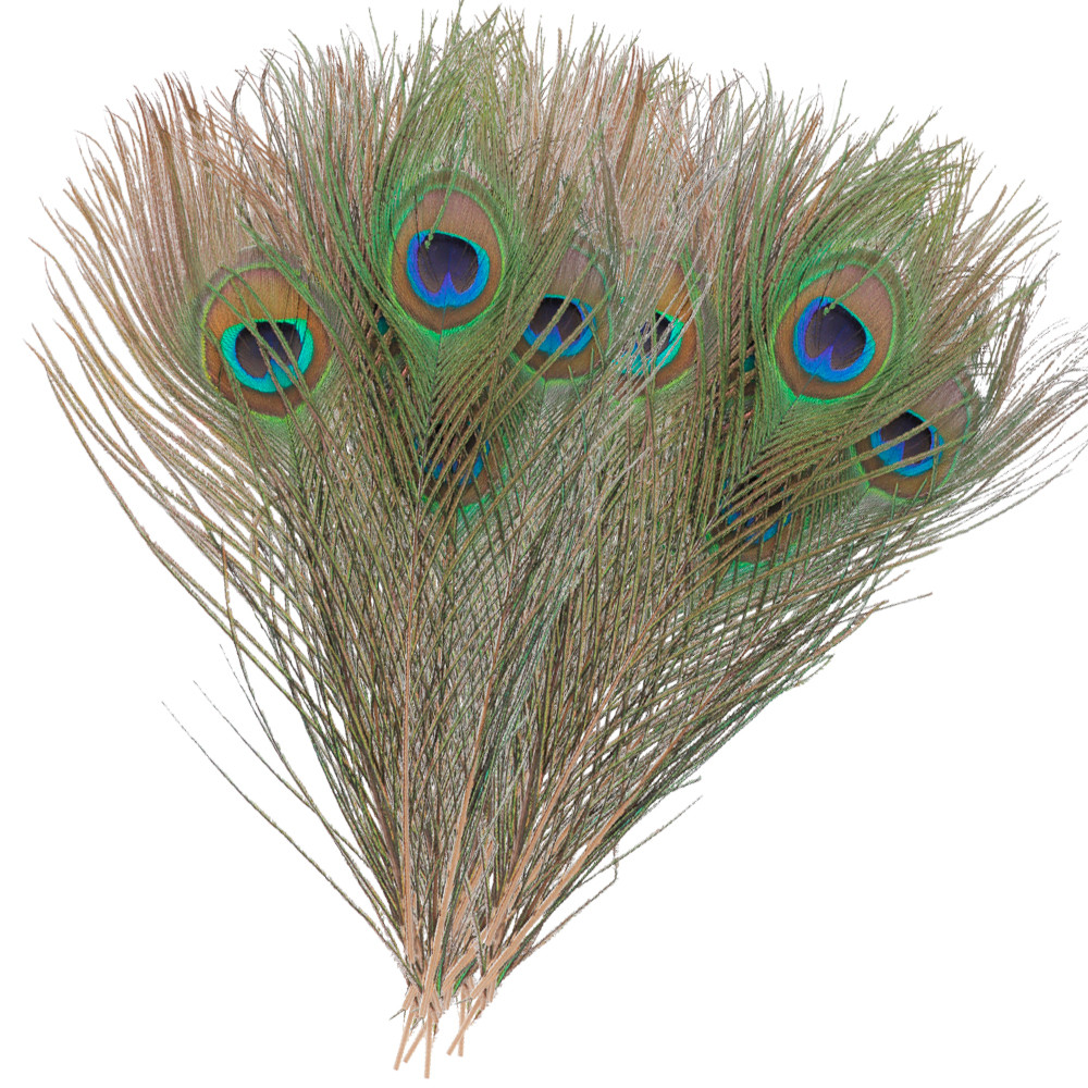 Ojos de pavo real Baetis
