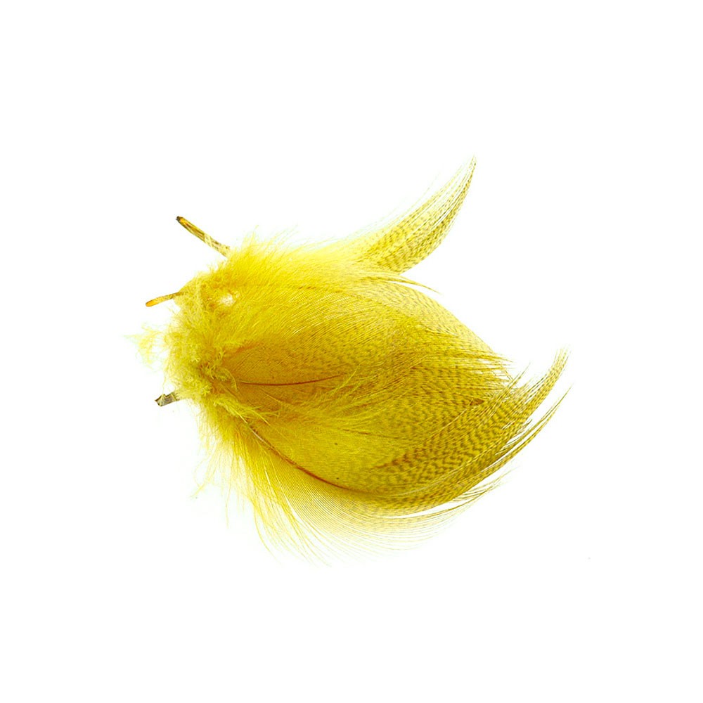 PECHO DE PATO 006 Yellow