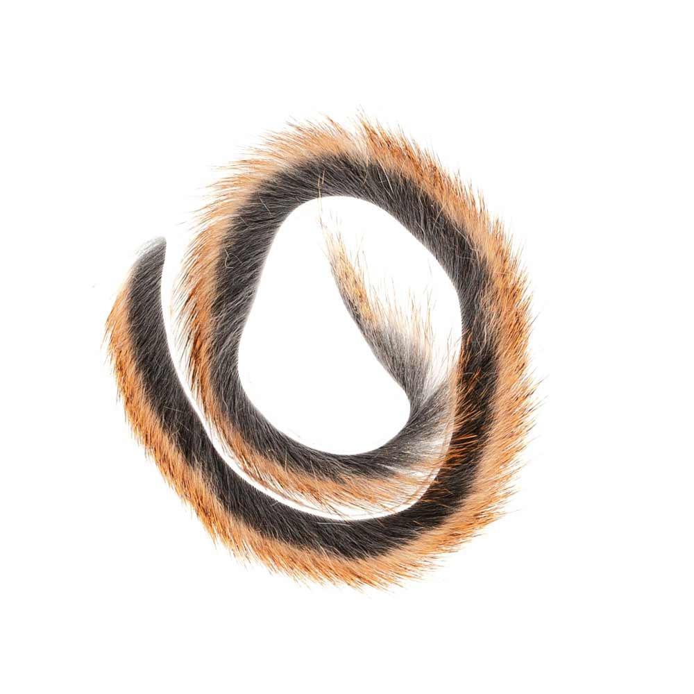 PINE SQUIRREL BAETIS ZONKERS 227 NATURAL B