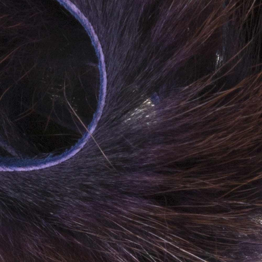 PINE SQUIRREL BAETIS ZONKERS 092 Purple