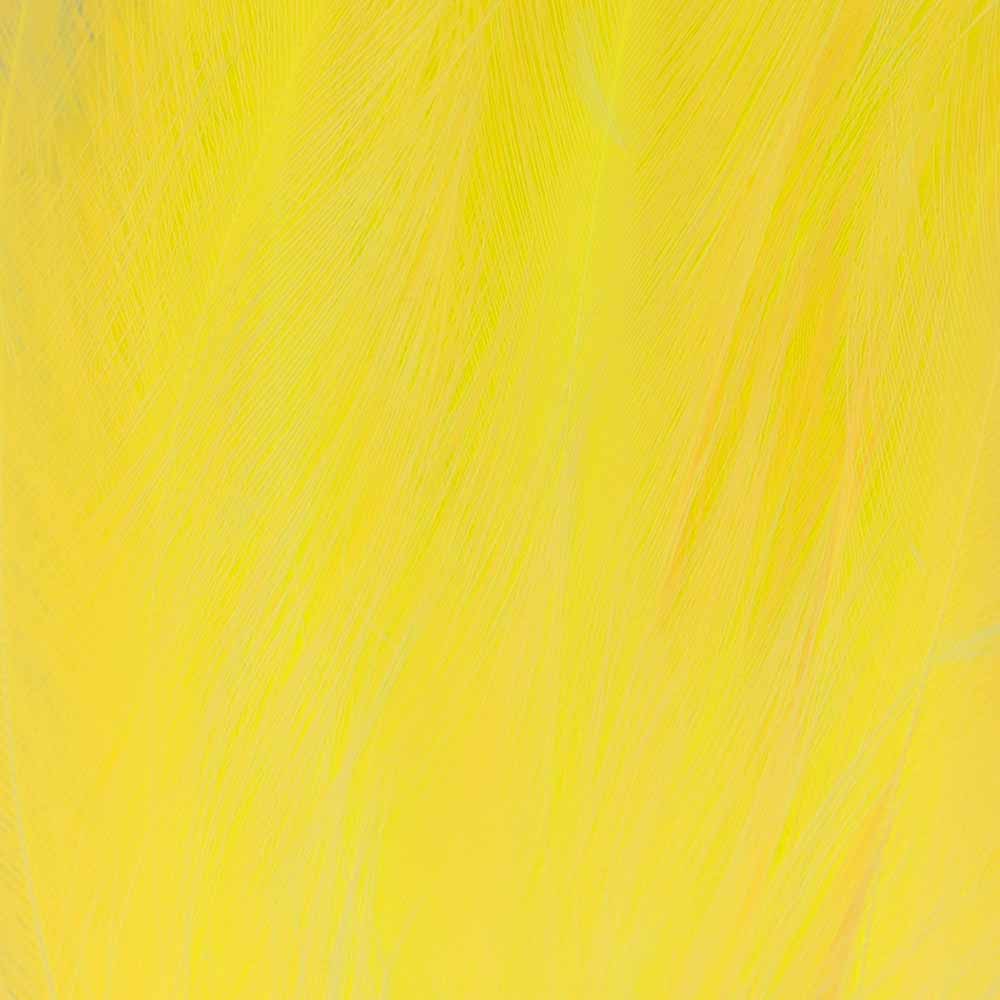 PLUMA CUELLO DE COLORES 006 Yellow