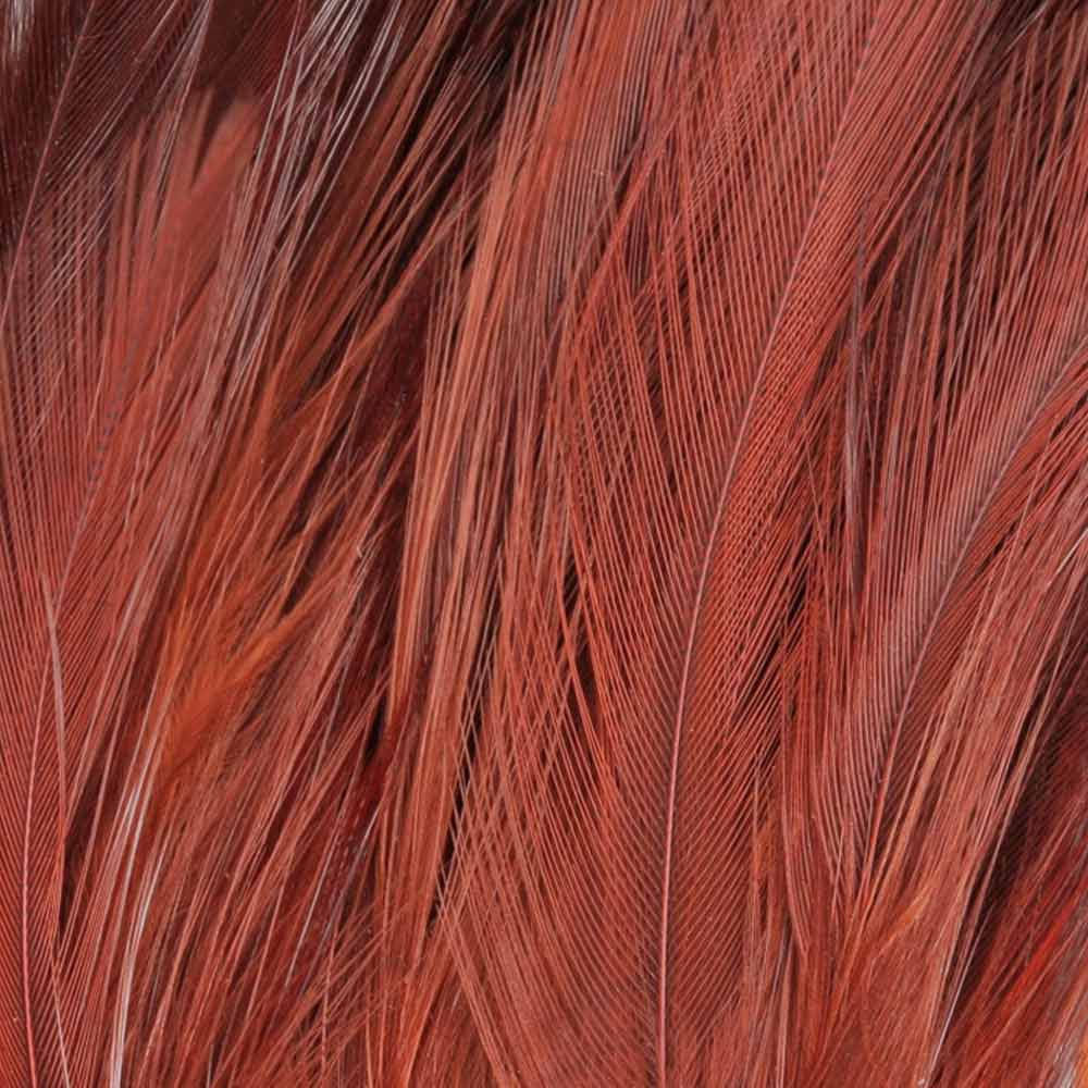 PLUMA CUELLO DE COLORES 047 Brown