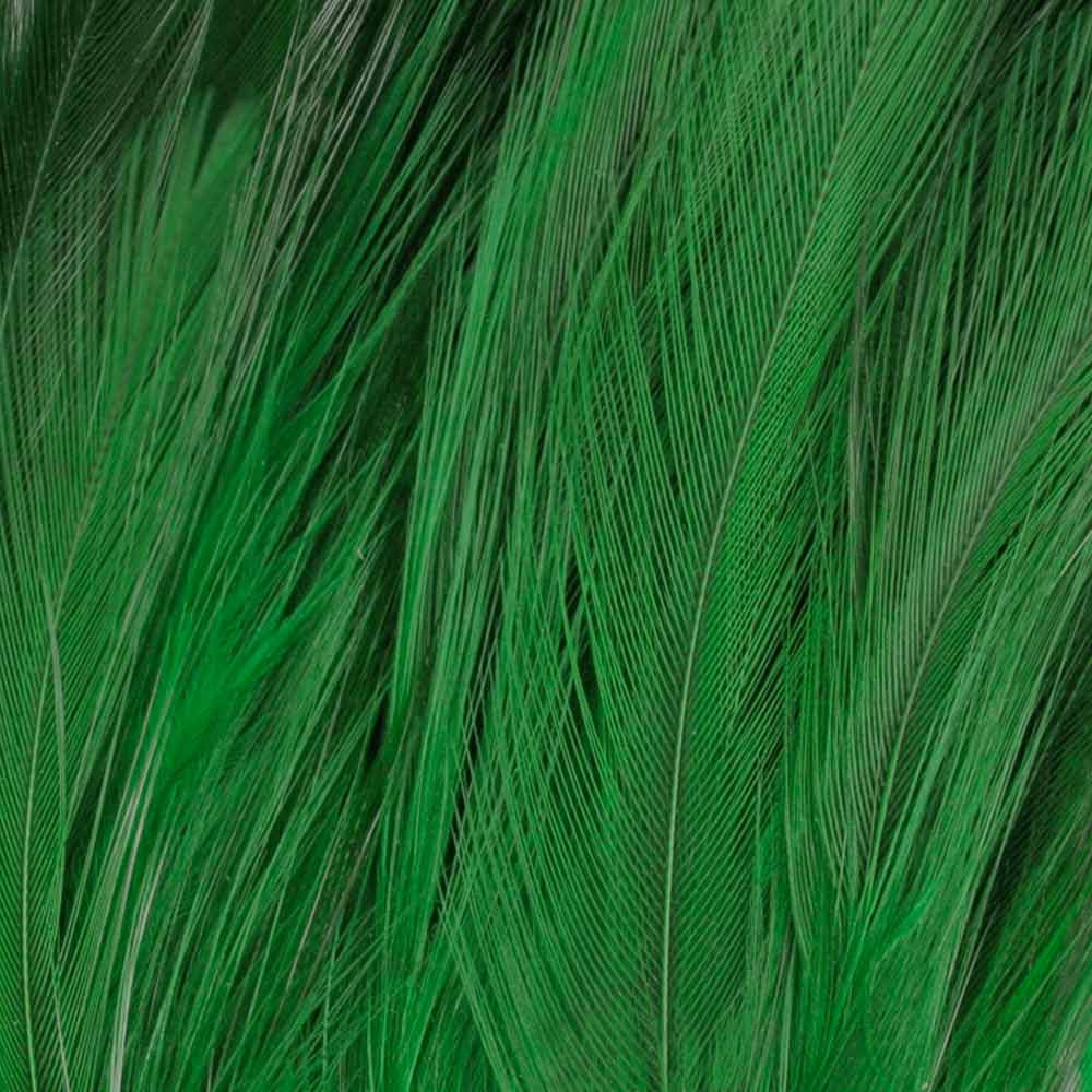 PLUMA CUELLO DE COLORES 072 Green