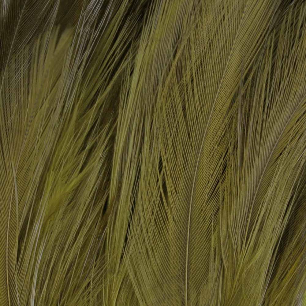 PLUMA CUELLO DE COLORES 089 Olive