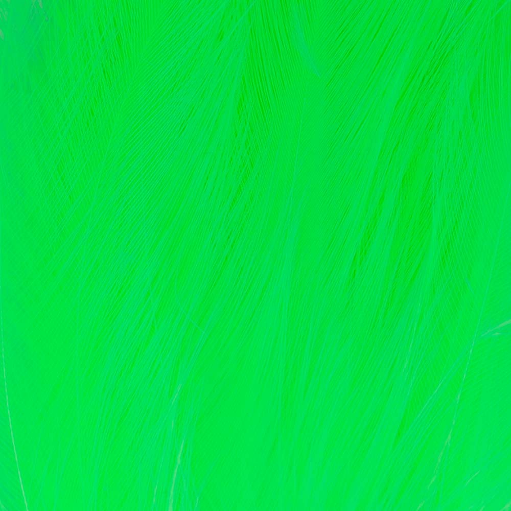 PLUMA CUELLO DE COLORES 504 Fl. Green