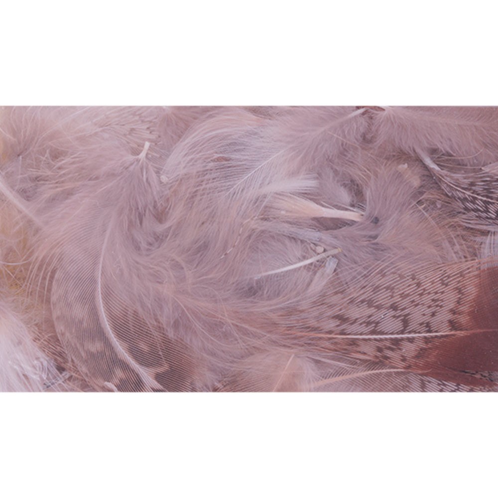 Pluma Perdiz Pardilla (Hungarian Partridge) 199 natural