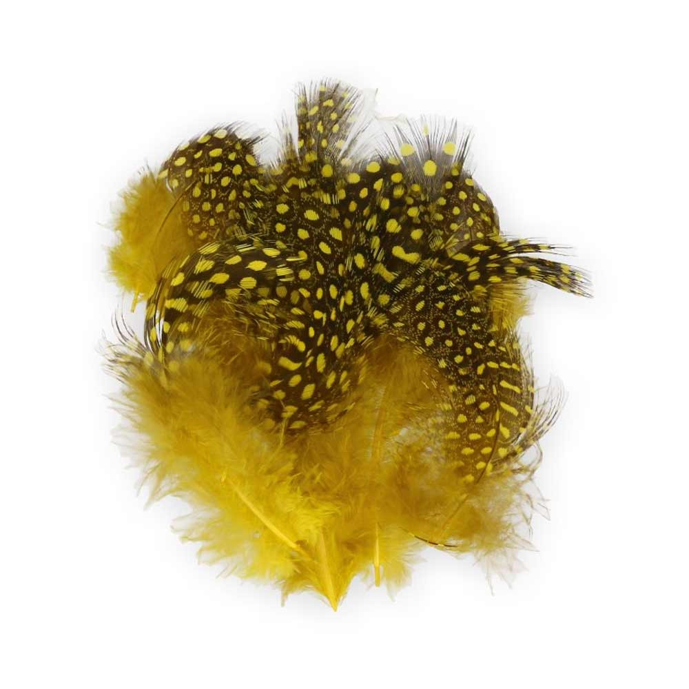 Plumas de Gallina de Guinea 006 Yellow