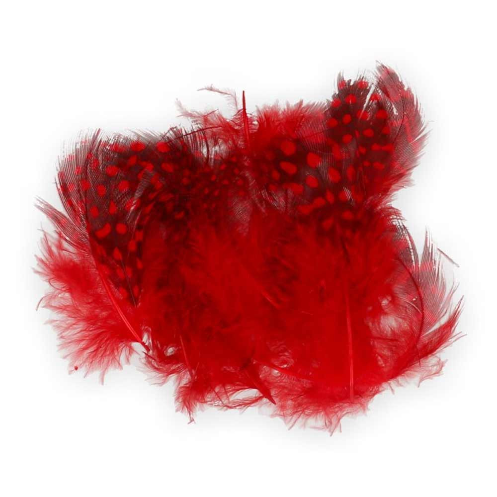 Plumas de Gallina de Guinea 056 Red