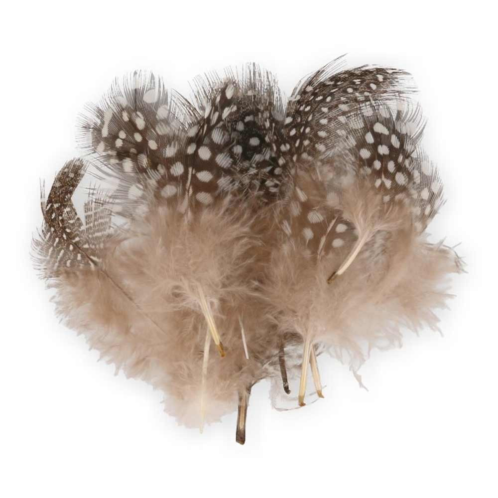 Plumas de Gallina de Guinea 199 Natural