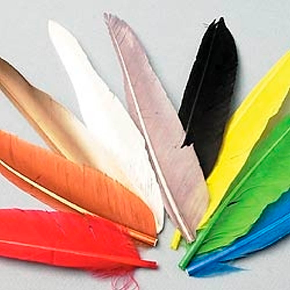 PLUMAS de PATO TEÑIDO (Duck Quill) 030 Dyed Gray