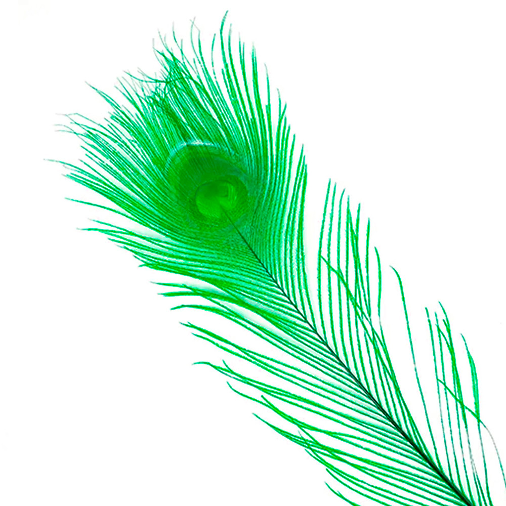 Quill pavo real Baetis teñido green