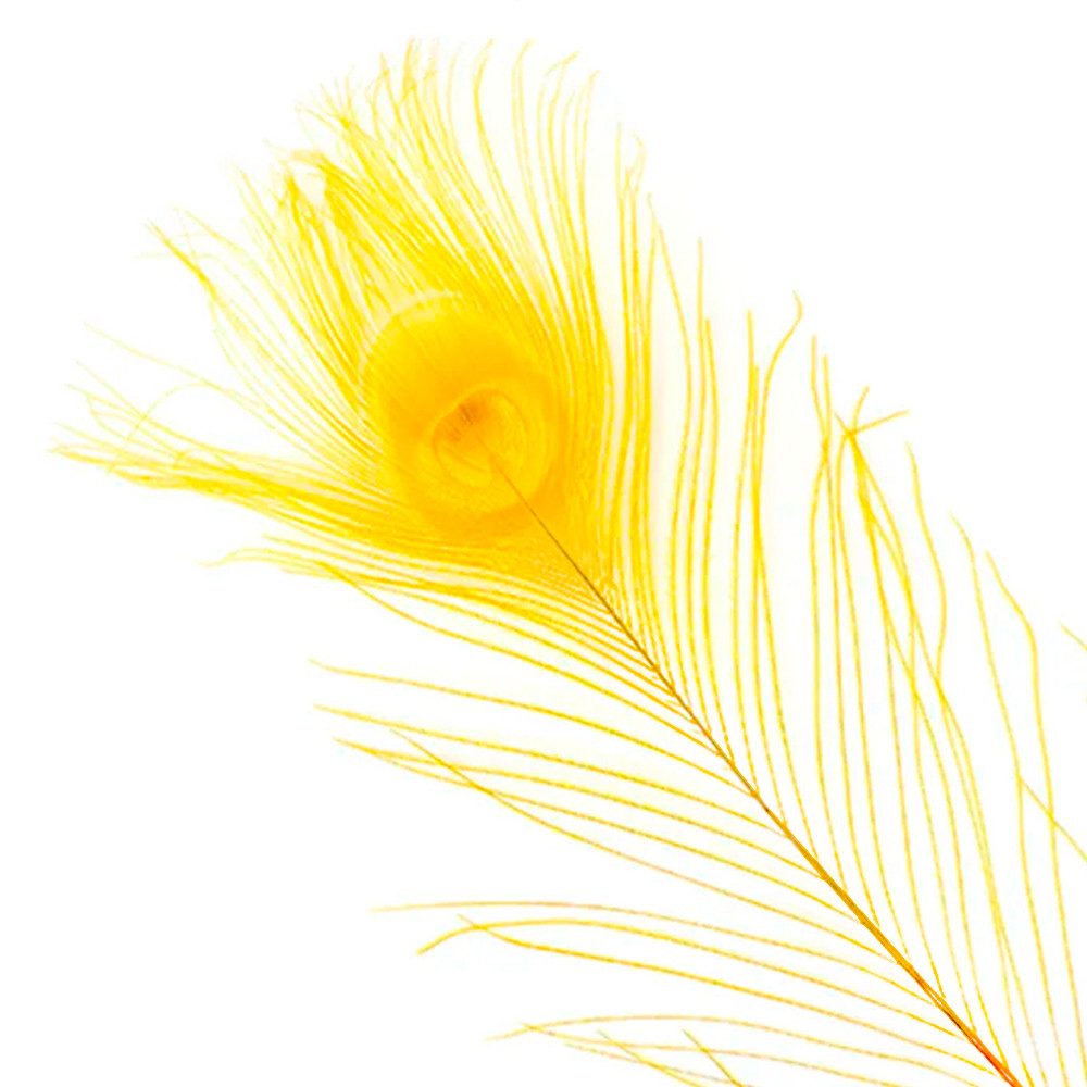 Quill pavo real Baetis teñido YELLOW