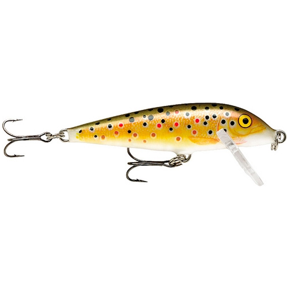Señuelo Rapala Couontdown CD09 9cm TR