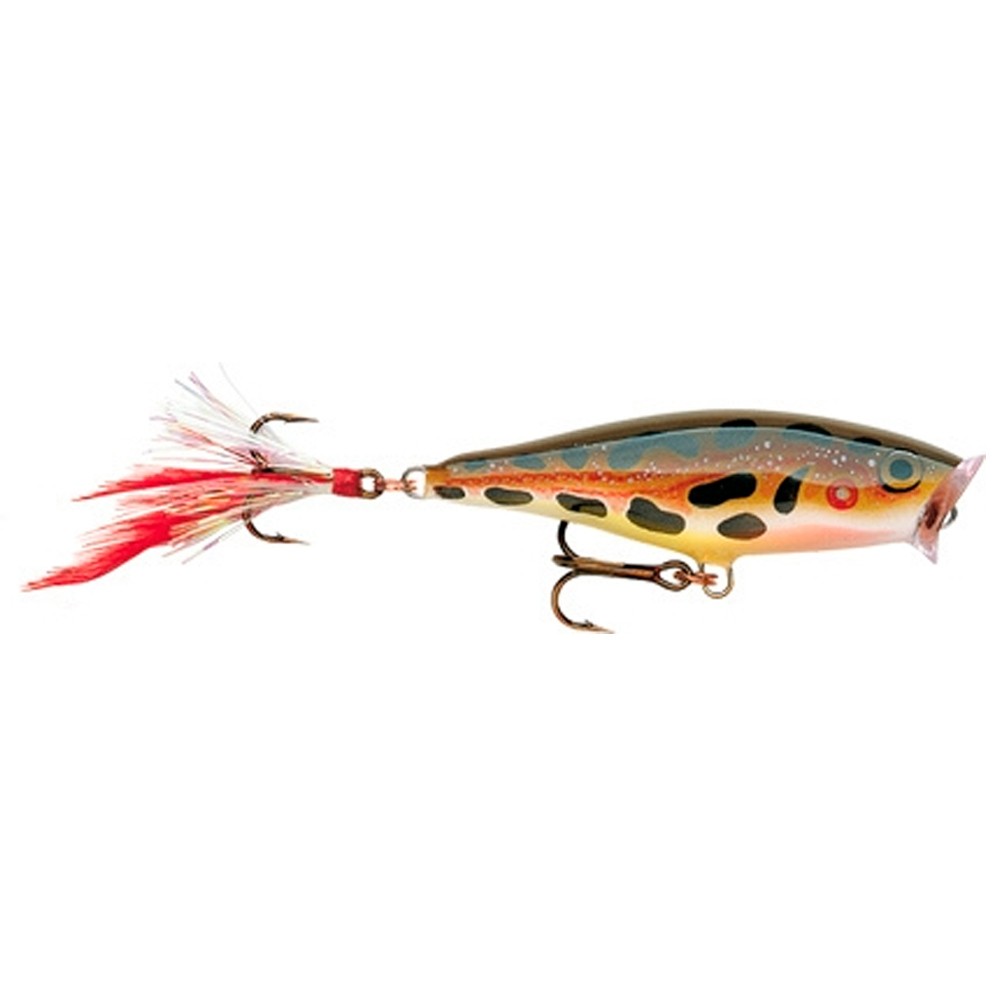 Señuelo Rapala Skitter pop superfie 7cm F