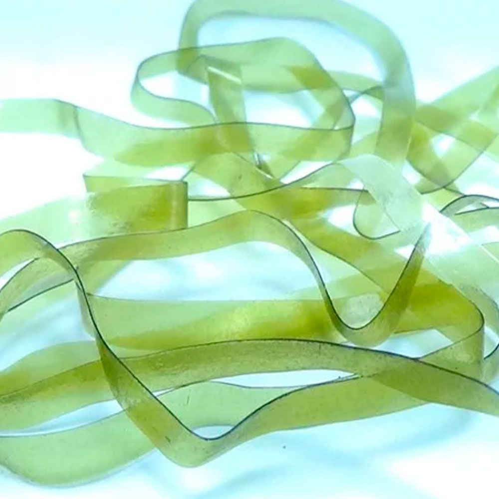 TIRAS DE LATEX 089 Olive