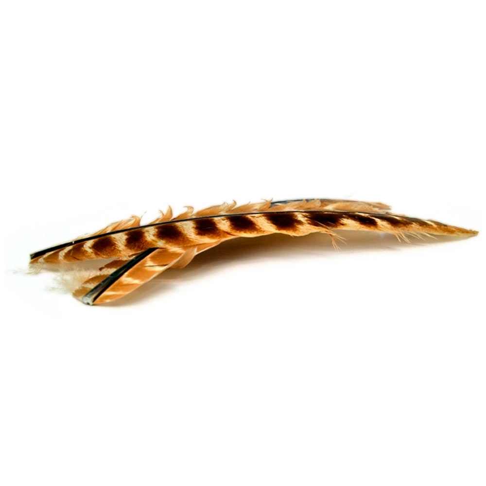 TURKEY QUILL (Pointers) 129 Sulphur Orange