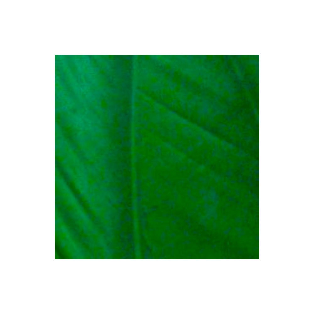 TURKEY QUILL (Pointers) 271 Green Drake