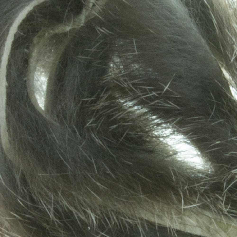 ZONKERS BAETIS 235 Chinchilla
