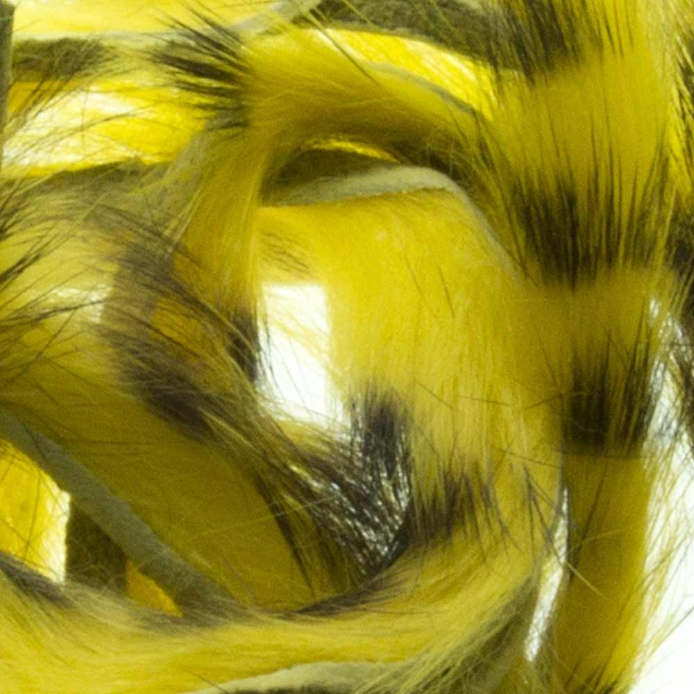 ZONKERS BAETIS GRIZZLY 006 Yellow
