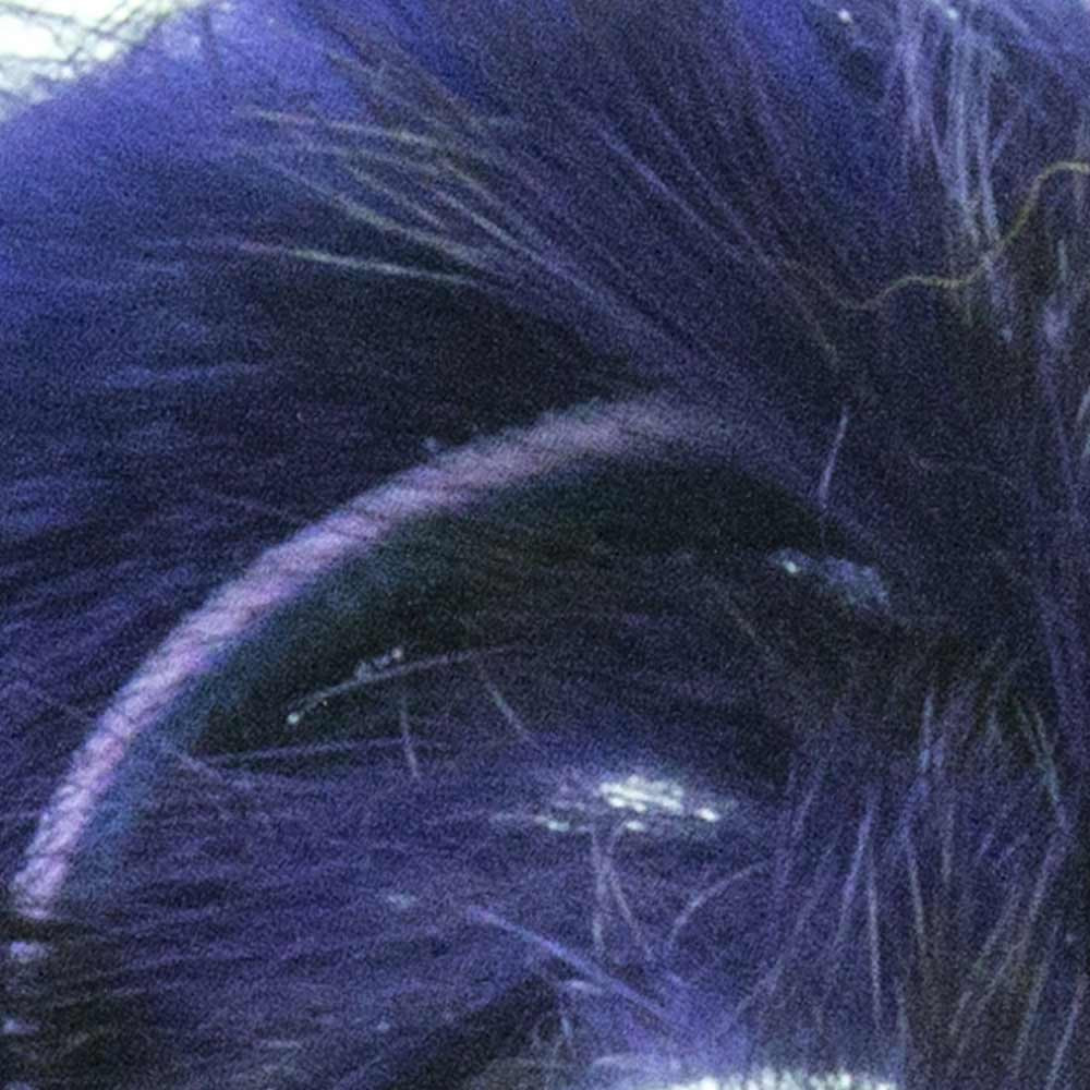 ZONKERS BAETIS GRIZZLY 092 Purple